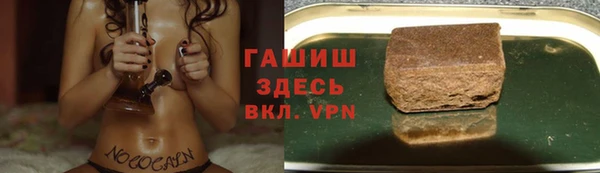 дмт Алзамай