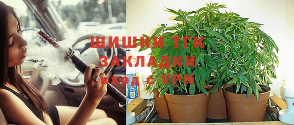 дмт Алзамай