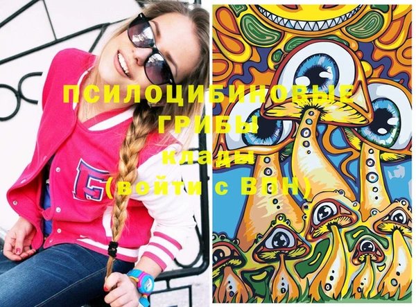 сатива Алексеевка
