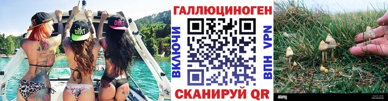 KRAKEN онион  Нурлат  Псилоцибиновые грибы ЛСД  где можно купить  