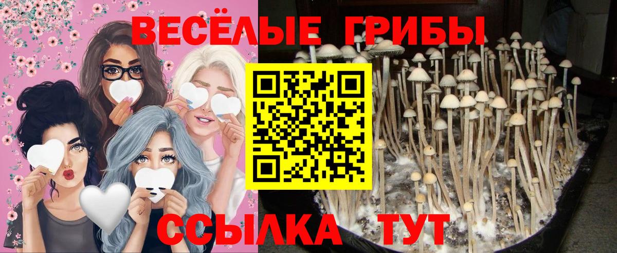 Галлюциногенные грибы мухоморы  Вход с VPN  Нурлат 